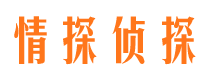 惠山市调查公司